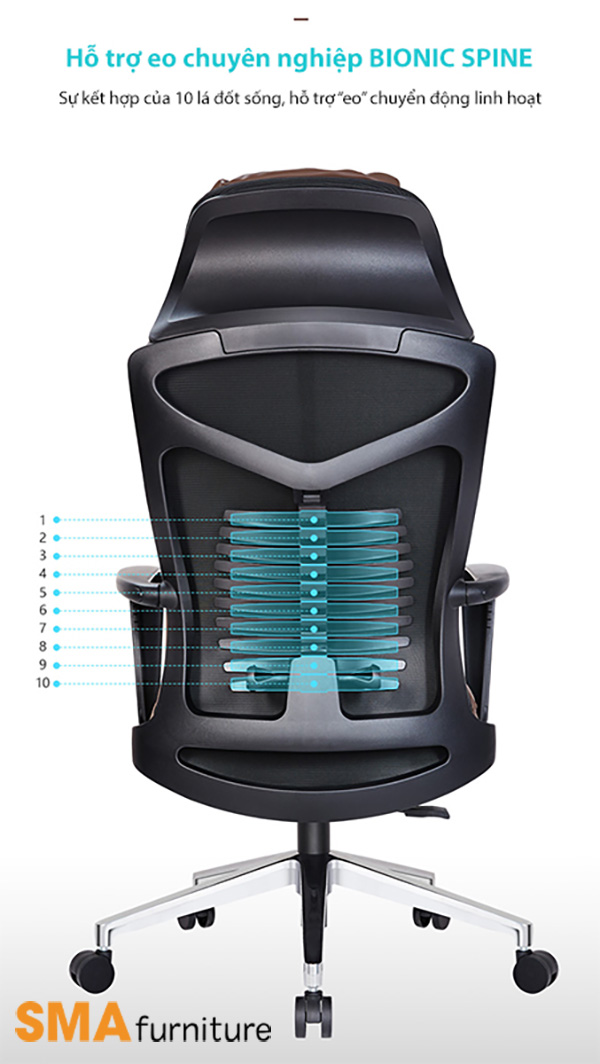 mô tả tựa lưng Bionic của ghế công thái học E01