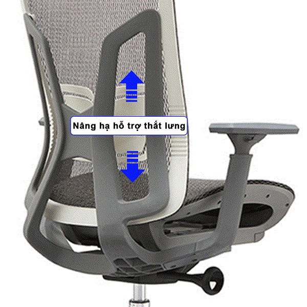 Phần đệm ghế, lưng ghế là yếu tố quan trọng ảnh hưởng đến vùng lưng
