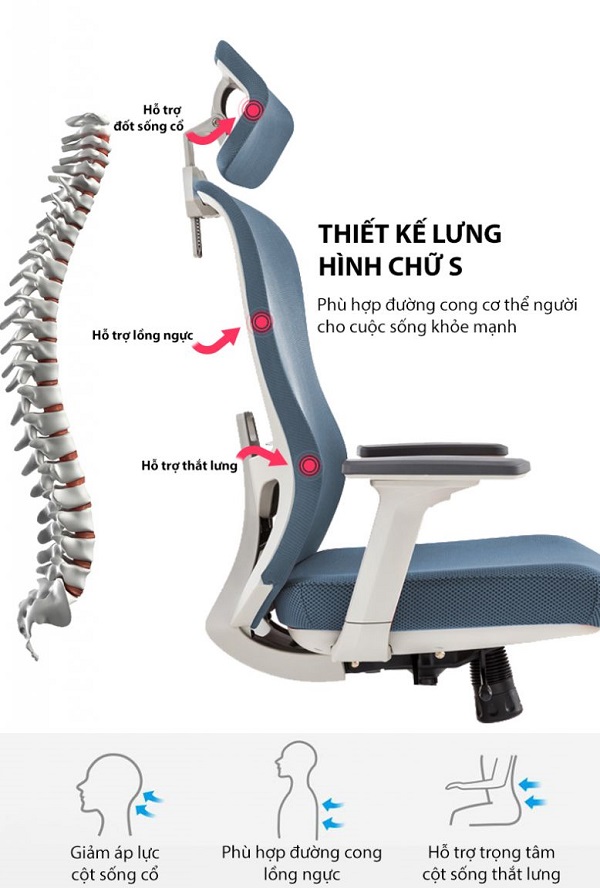 Ghế chống đau lưng giúp duy trì tư thế ngồi đúng chuẩn