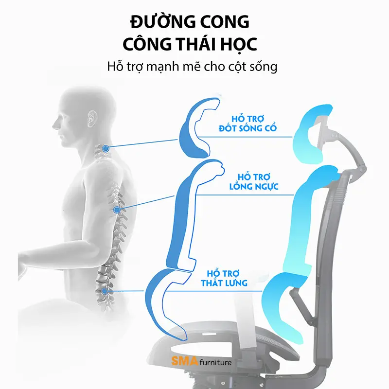Chọn ghế theo đúng thể trạng cơ thể giúp hỗ trợ cột sống của bạn tốt hơn