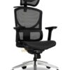 Ghế Công Thái Học GT Chair ISEE-M Lưới Đen - Xám