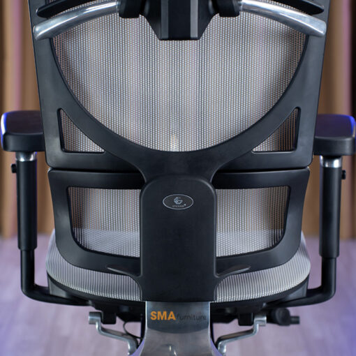 Ghế Công Thái Học  GT Chair ISEE-X cao cấp