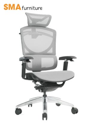 Ghế Công Thái Học  GT Chair ISEE-X cao cấp