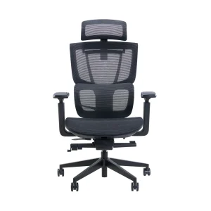 Ghế công thái học Epione ErgoChair Pro 2.0 chính hãng