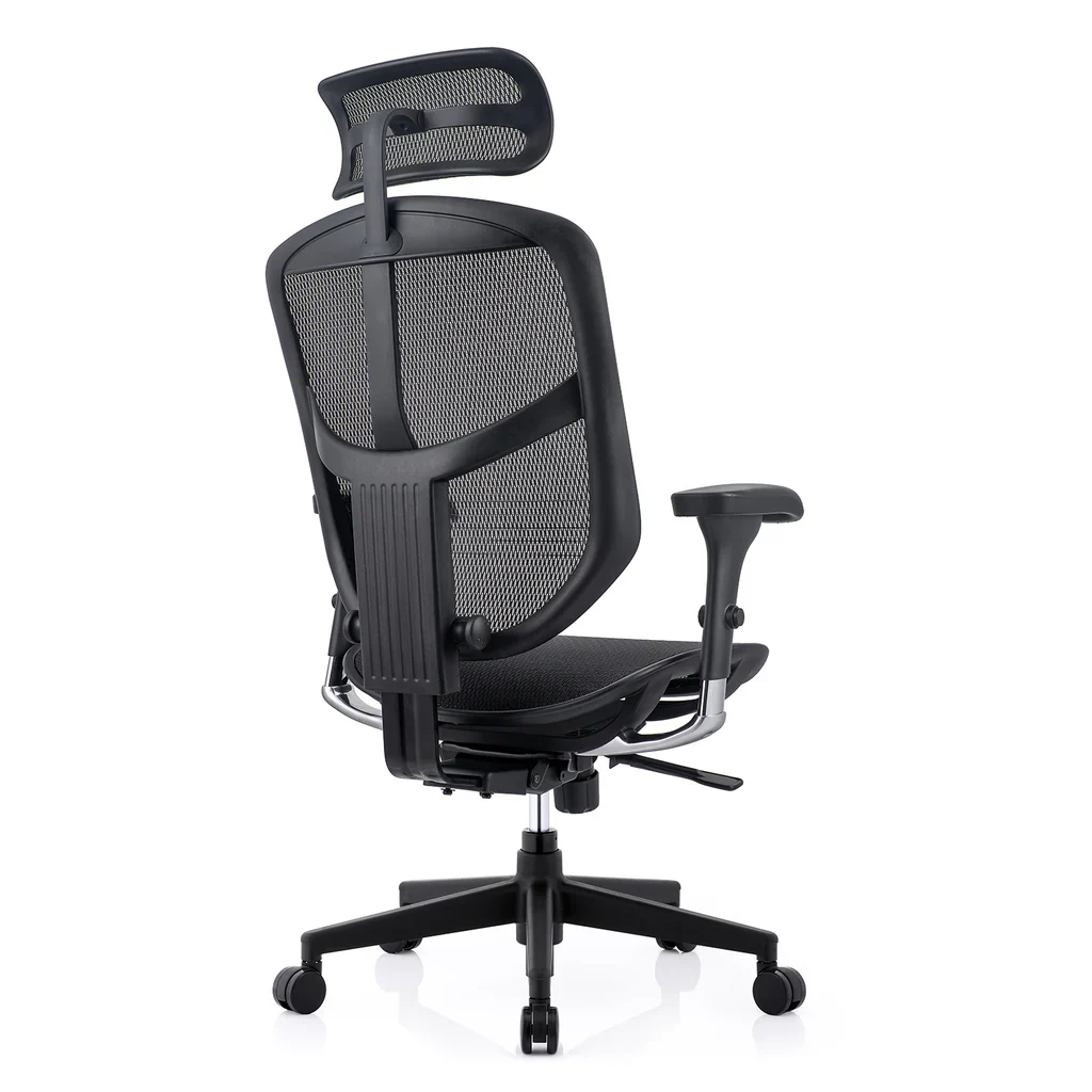 Ghế công thái học ergonomic ERGOHUMAN ENJOY 02